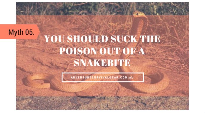 You should suck the poison out of a snakebite