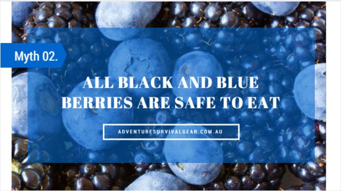 black and blue berries are safe to eat
